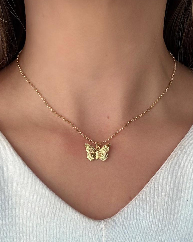 Collar Butterfly